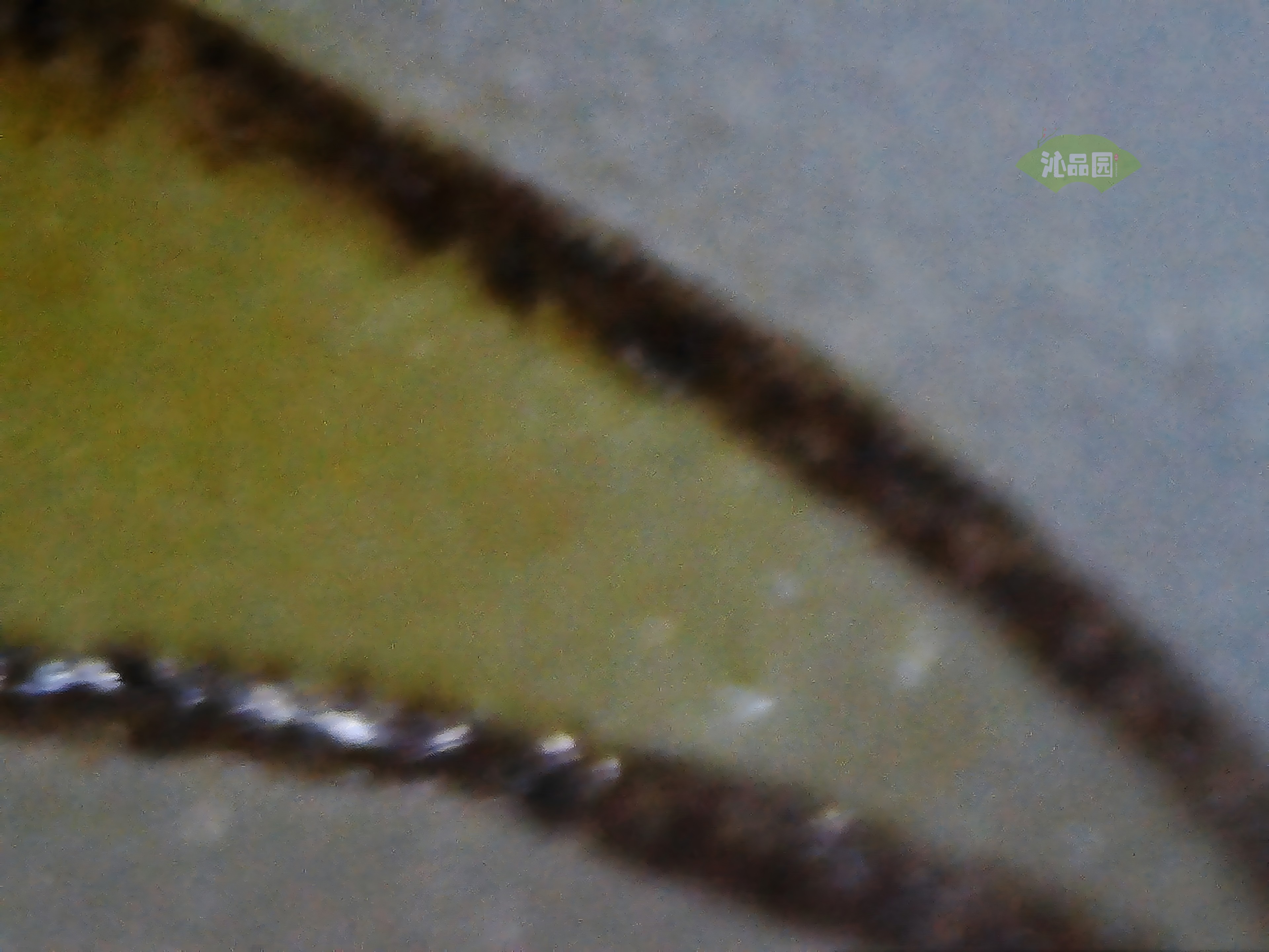 CHD00520.JPG
