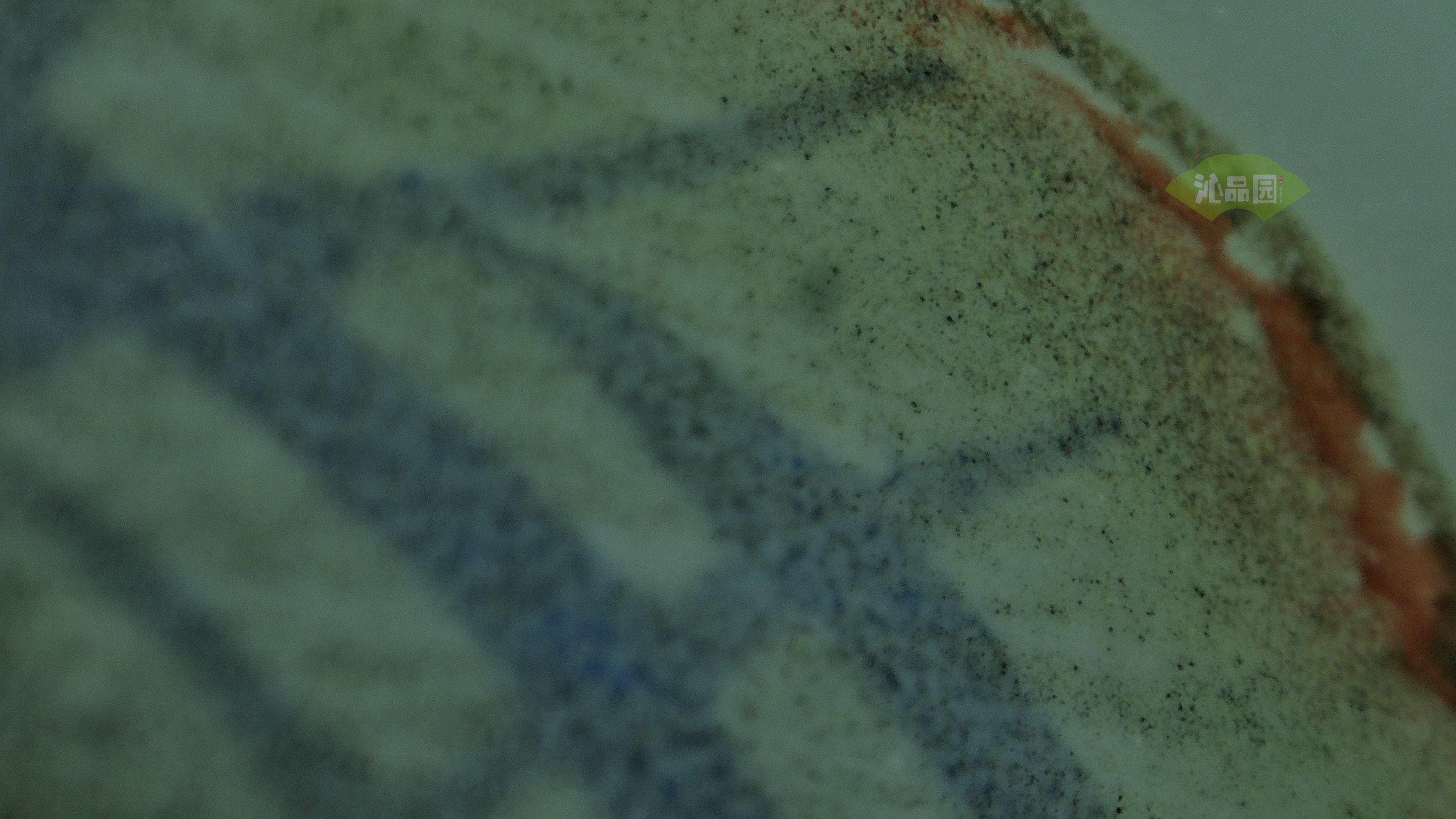0811.jpg