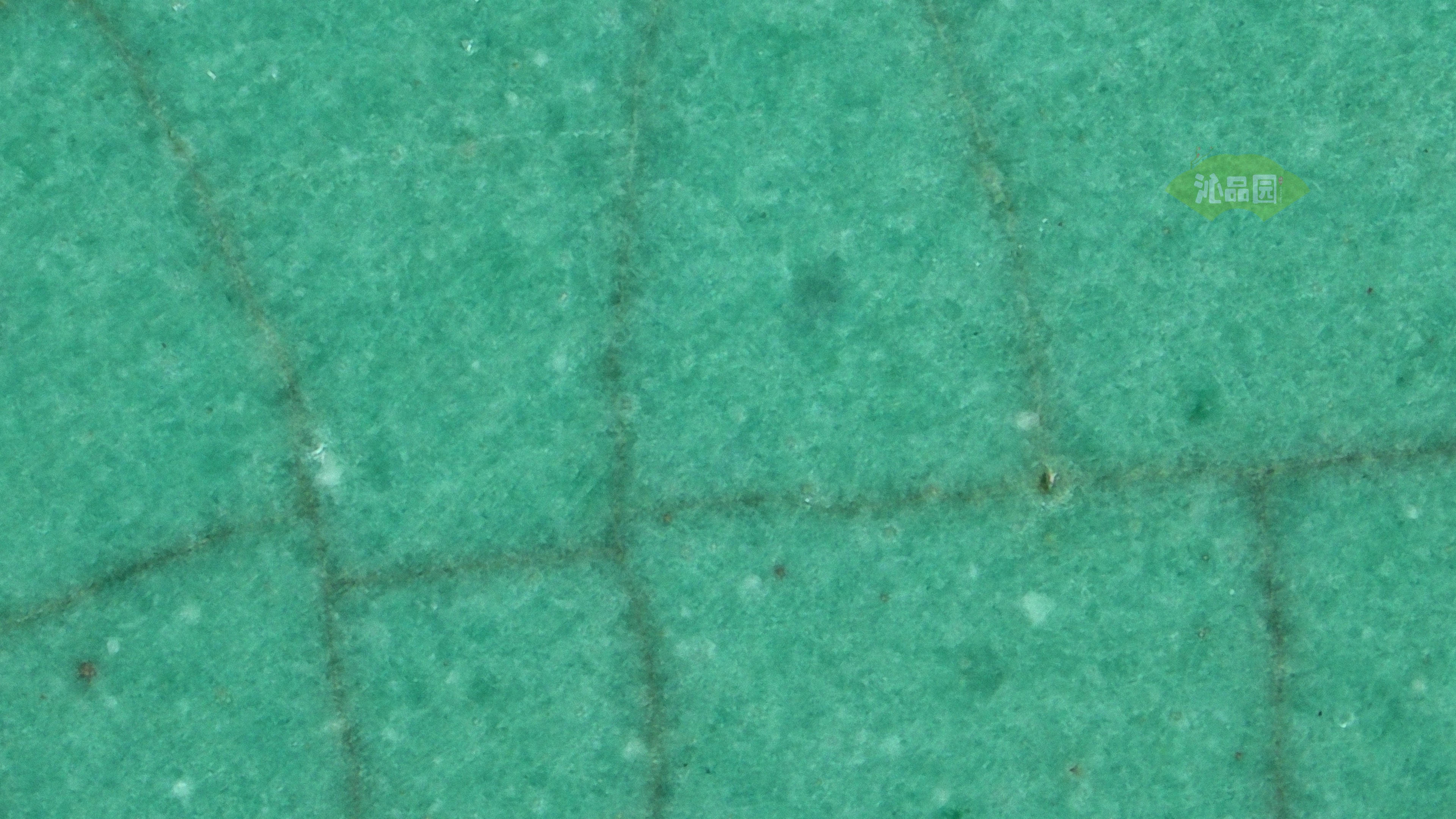 0510.jpg