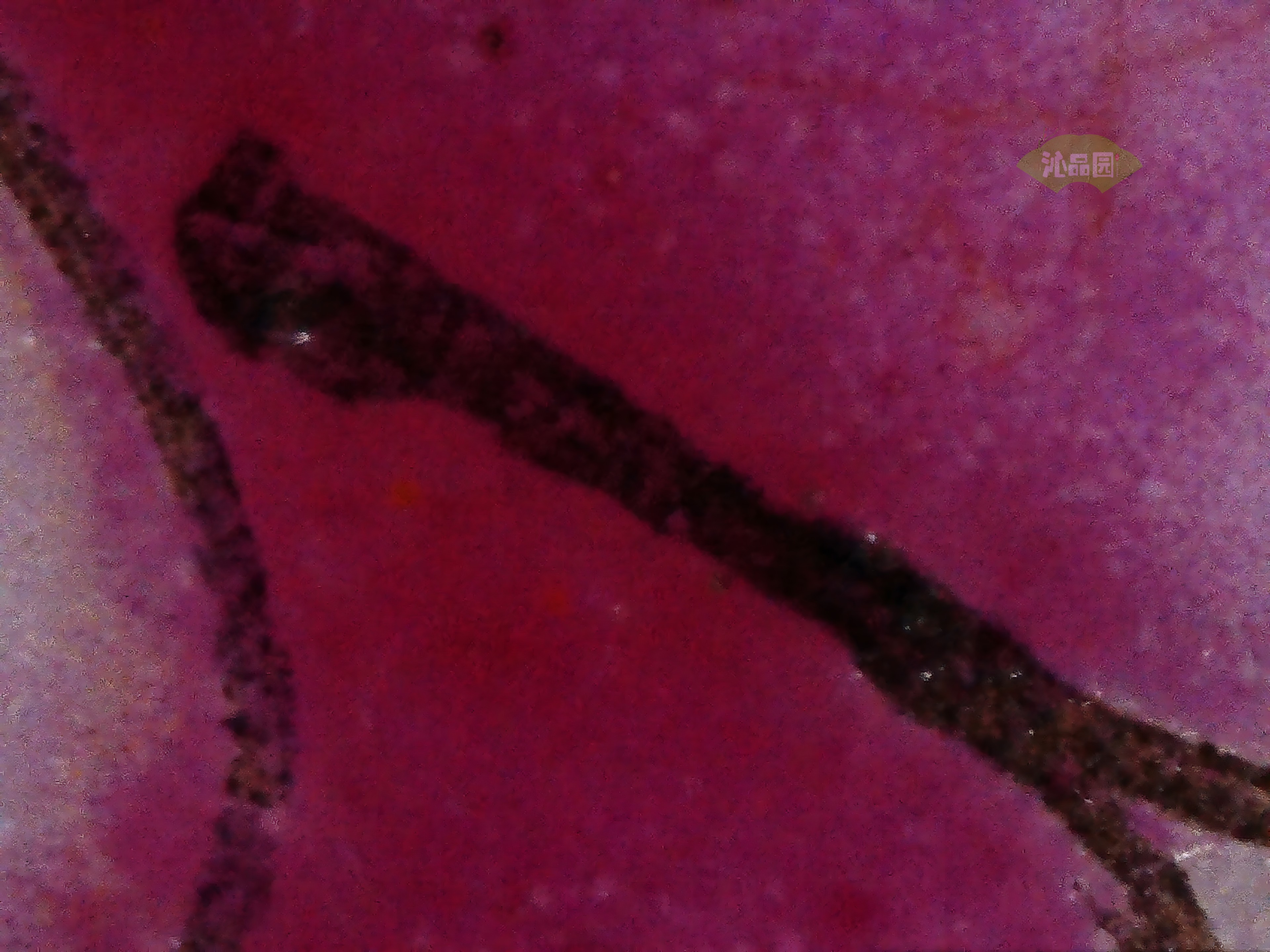 CHD00500.JPG
