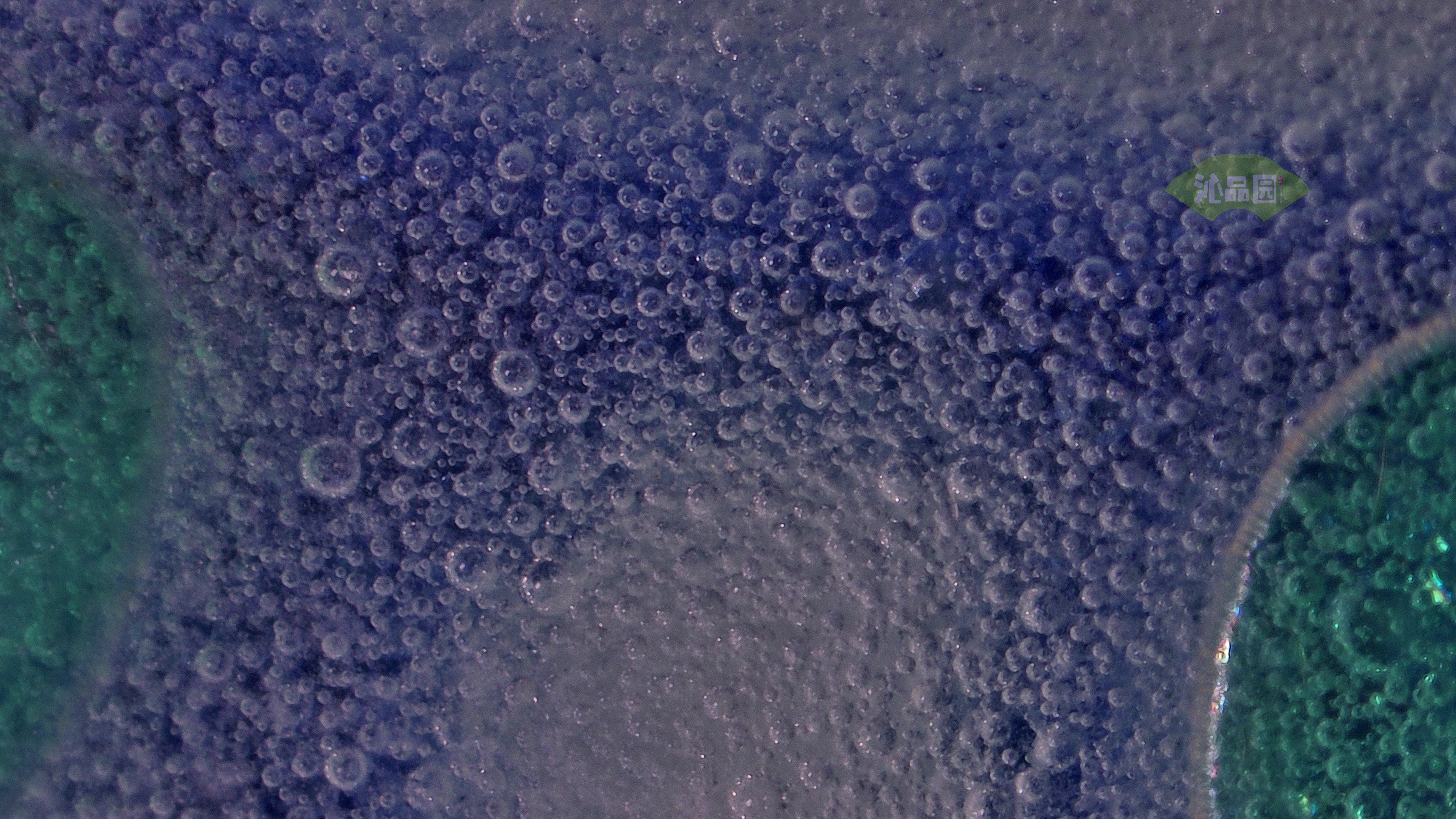 0800.jpg