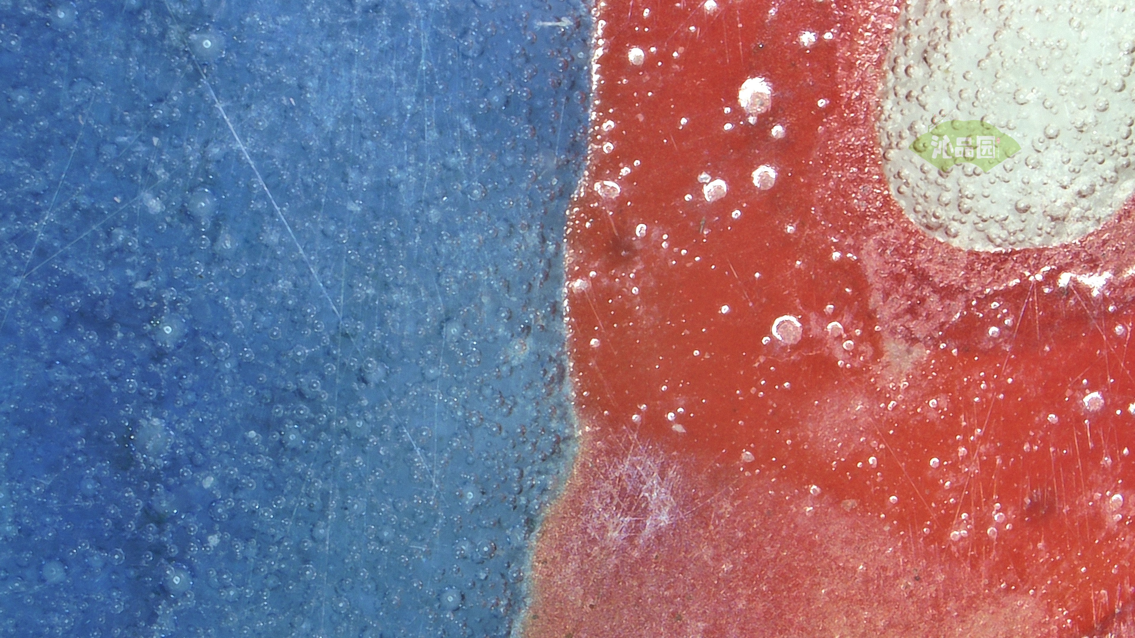 0430.jpg