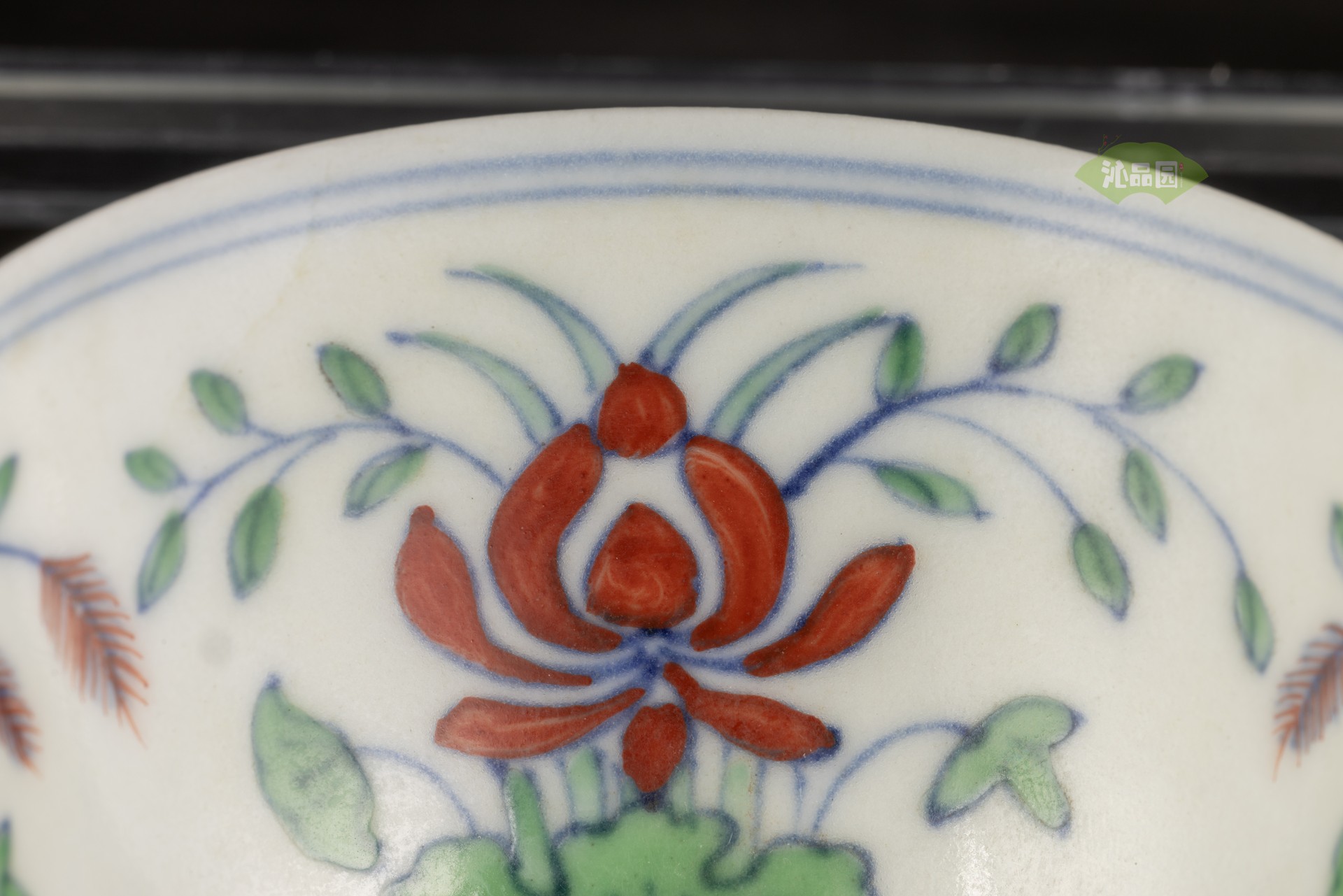 002_6bfa15419d28.jpg