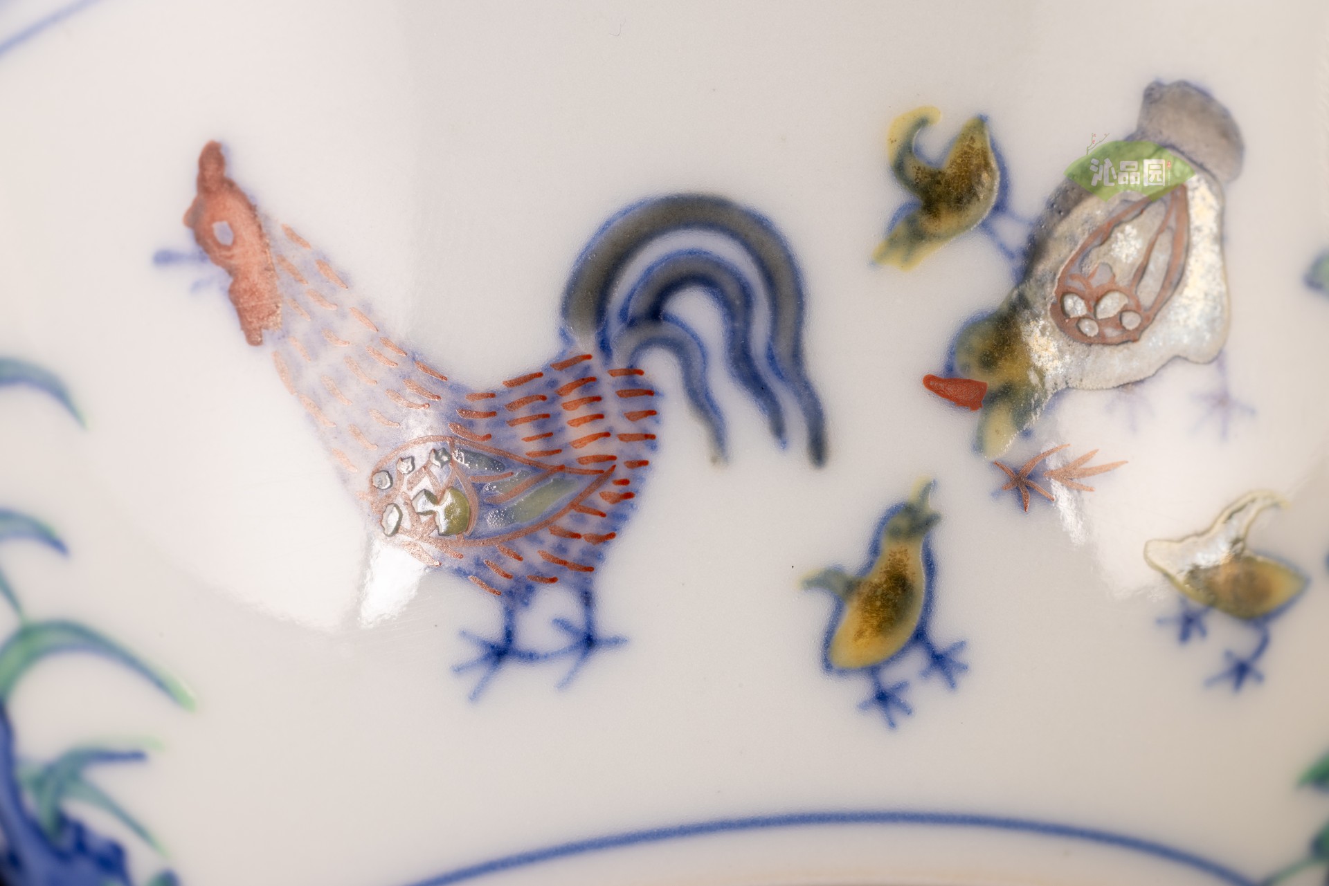 003_726f15b81f41.jpg