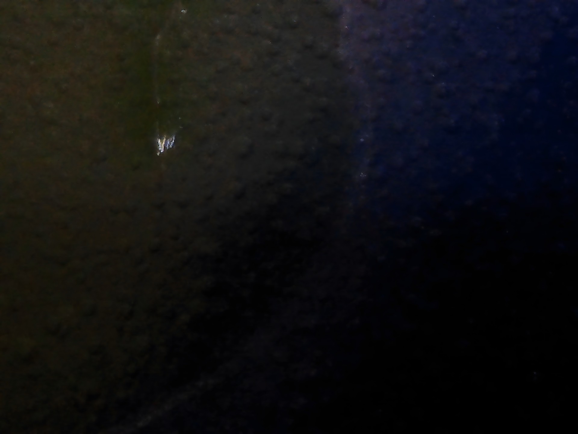 002_5ed5f66361f6.jpg