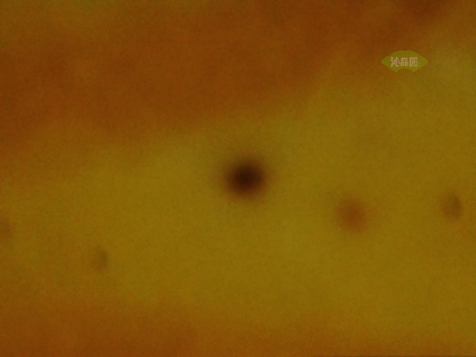 002_206be9c304f7.jpg
