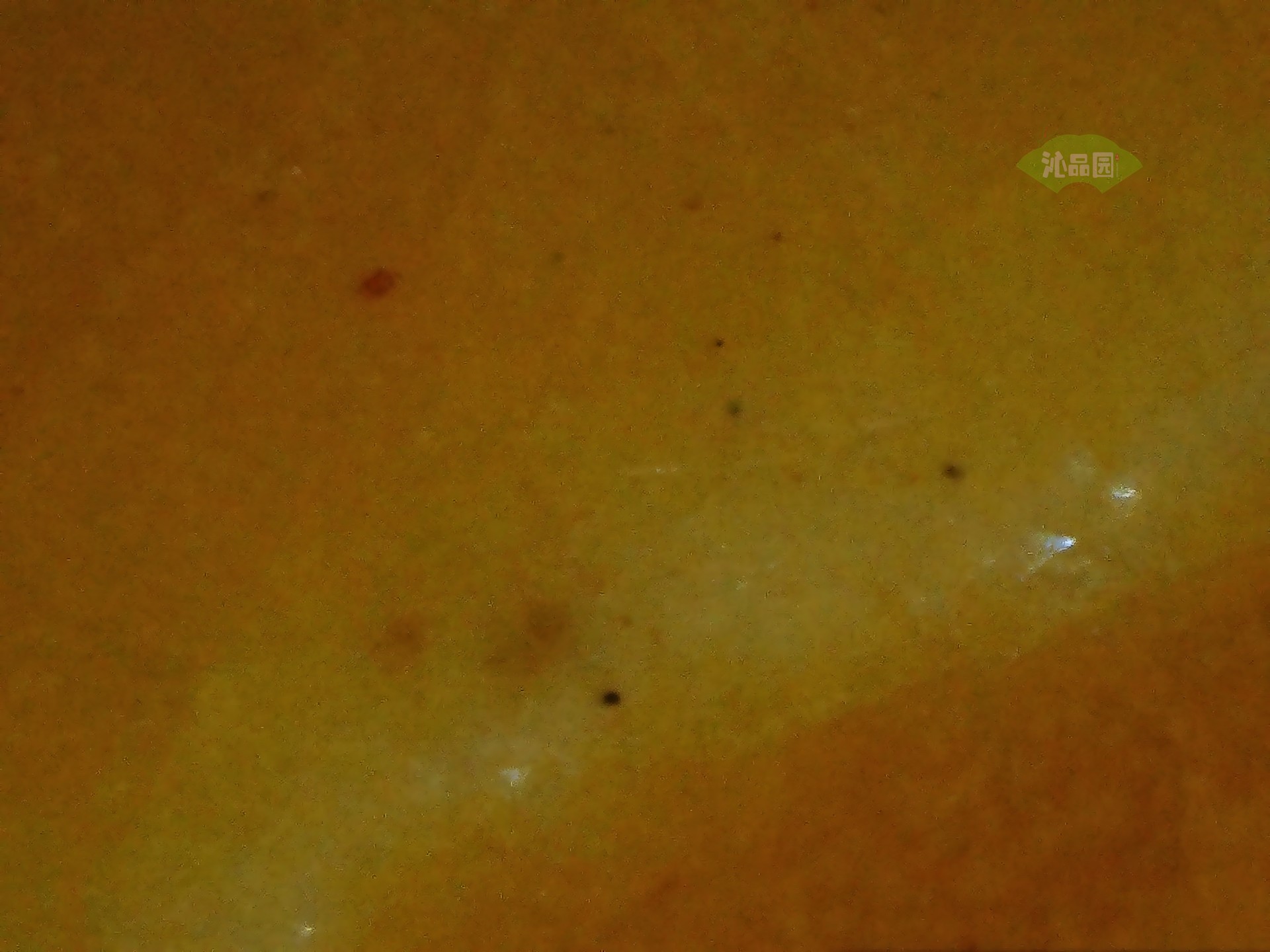 002_b3322817ef92.jpg