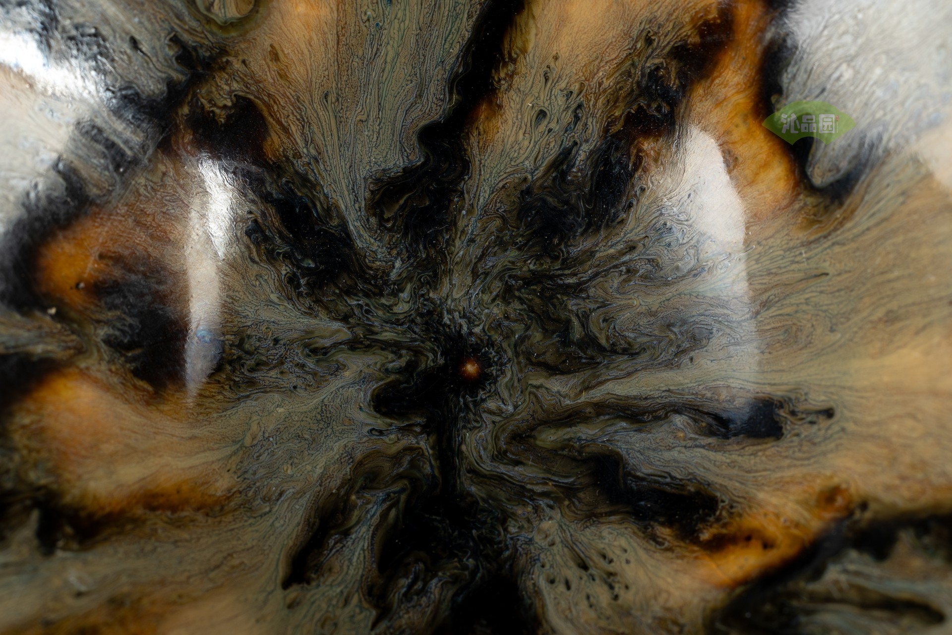 002_88cc8942cb26.jpg