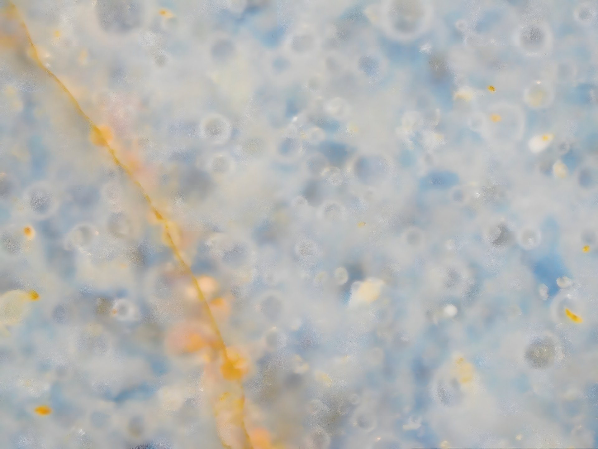 001_5e04aa775814.jpg