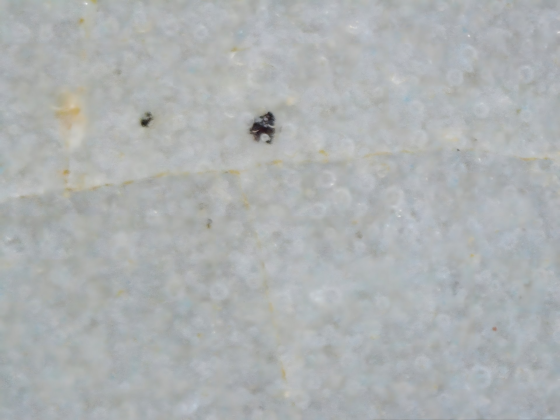 002_eee47be97358.jpg