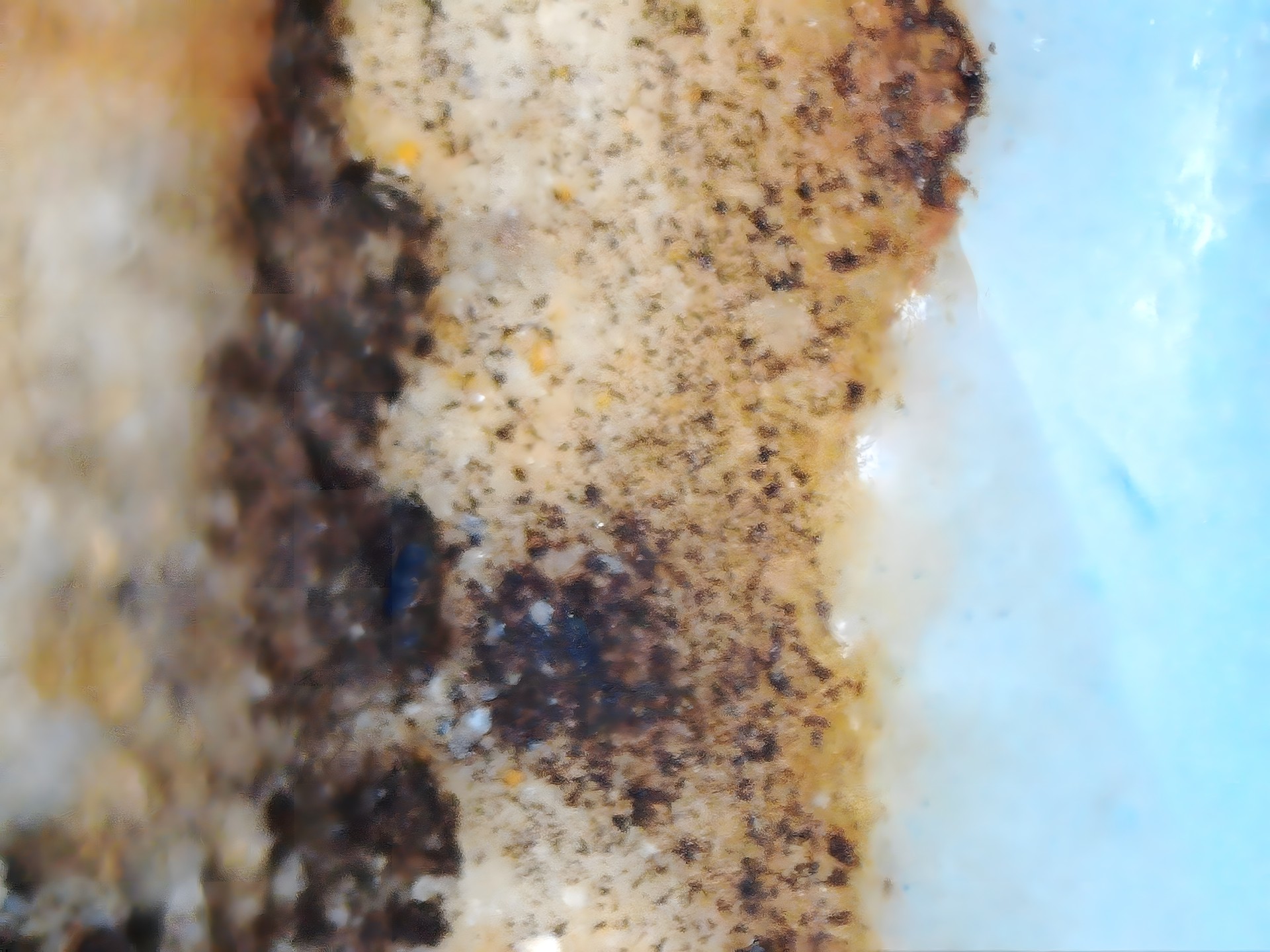 002_12d39b567646.jpg