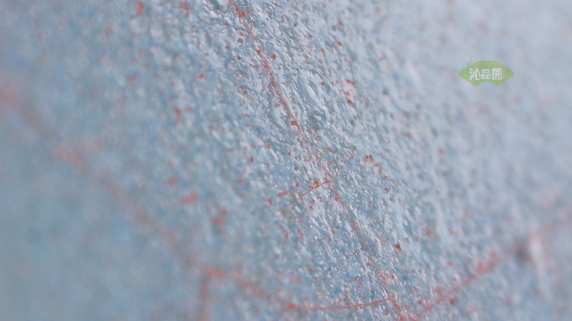 002_f127ecc1f0a0.png