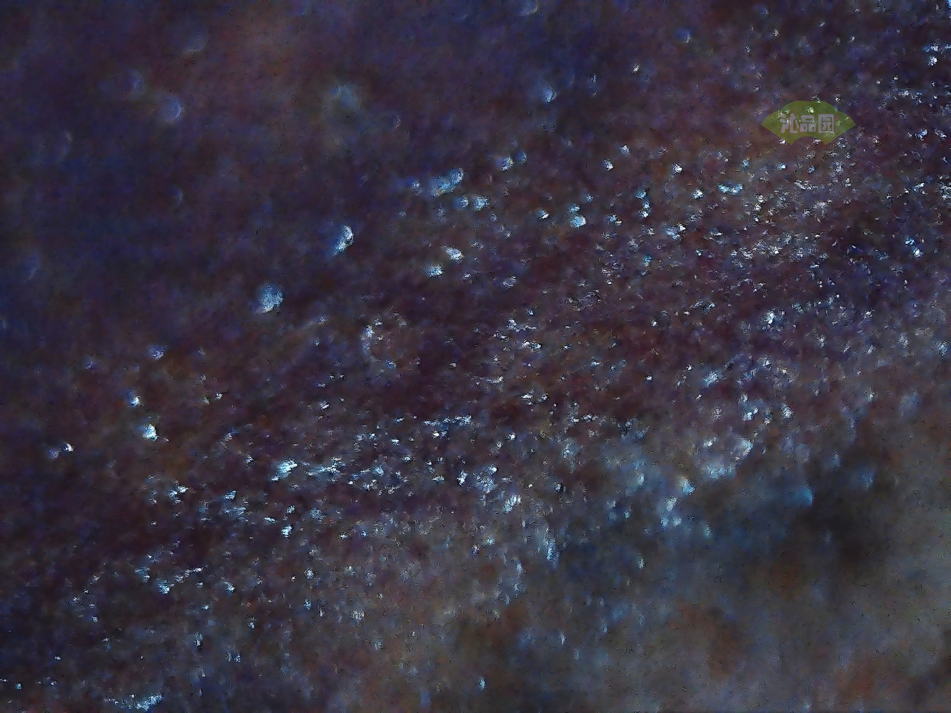 003_ecd831253642.jpg