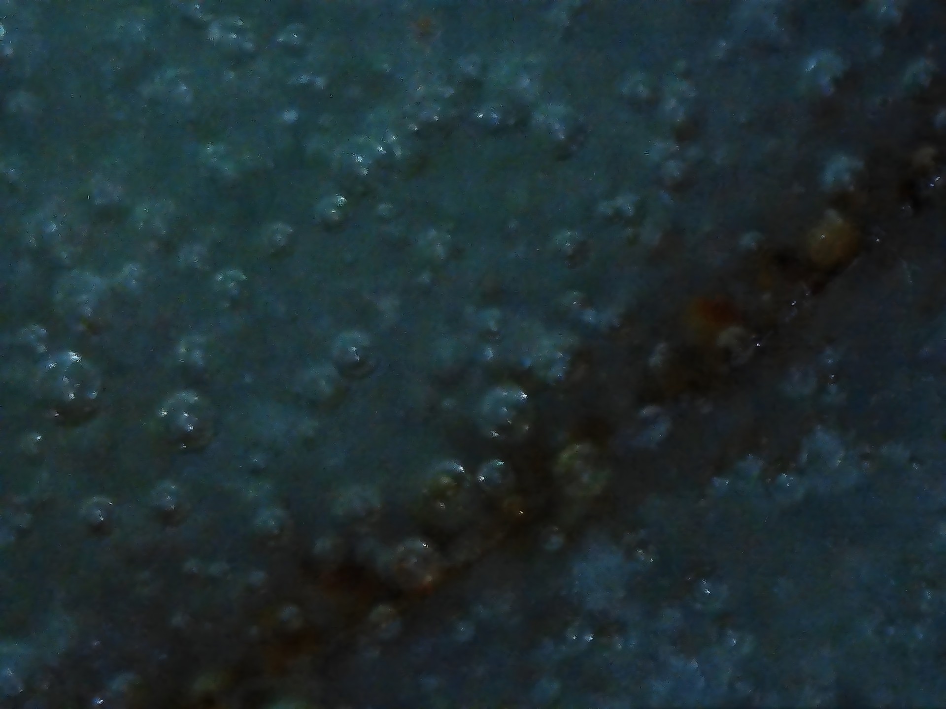 002_044f986554fe.jpg