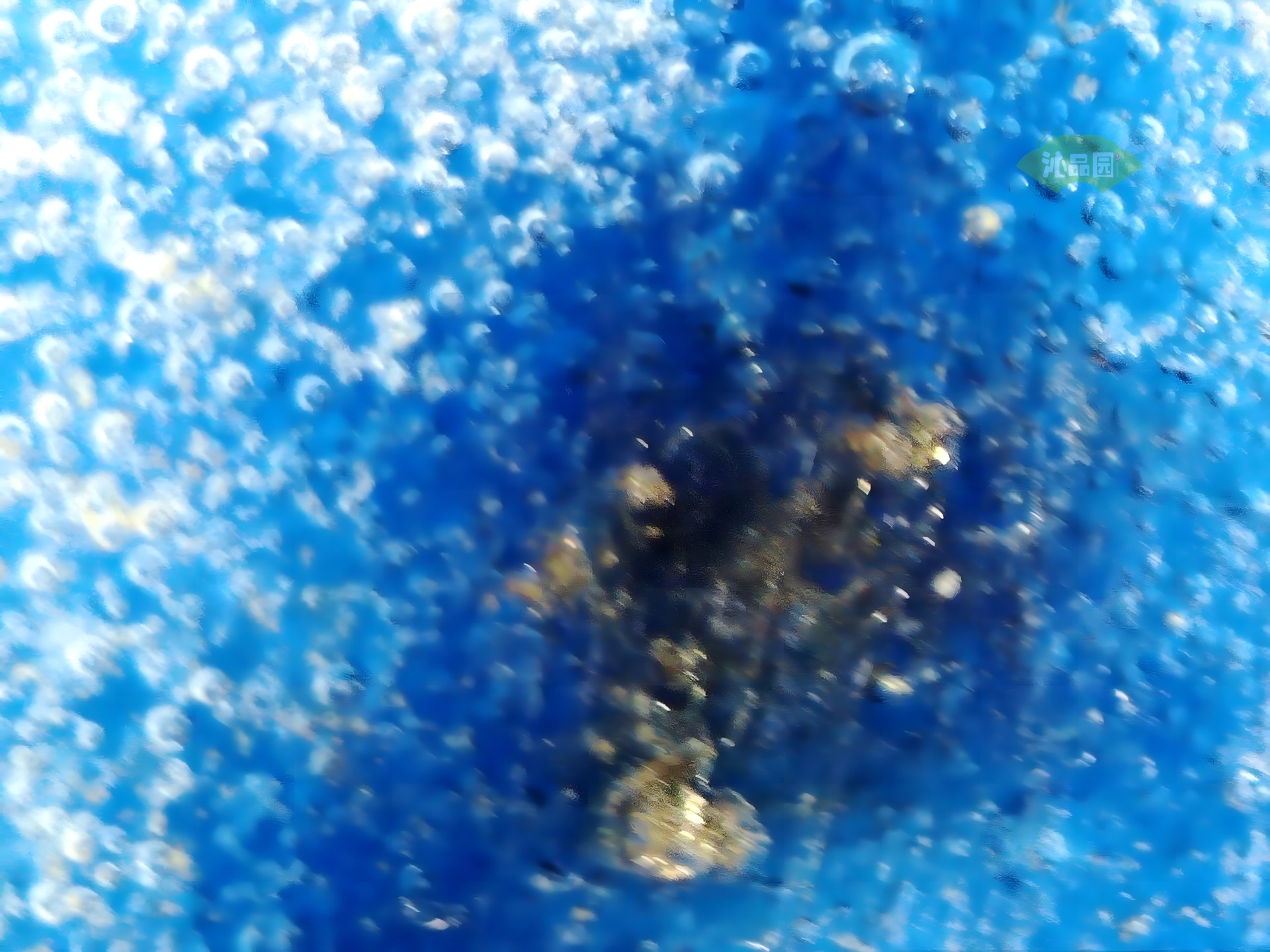 001_940a6afe655b.jpg