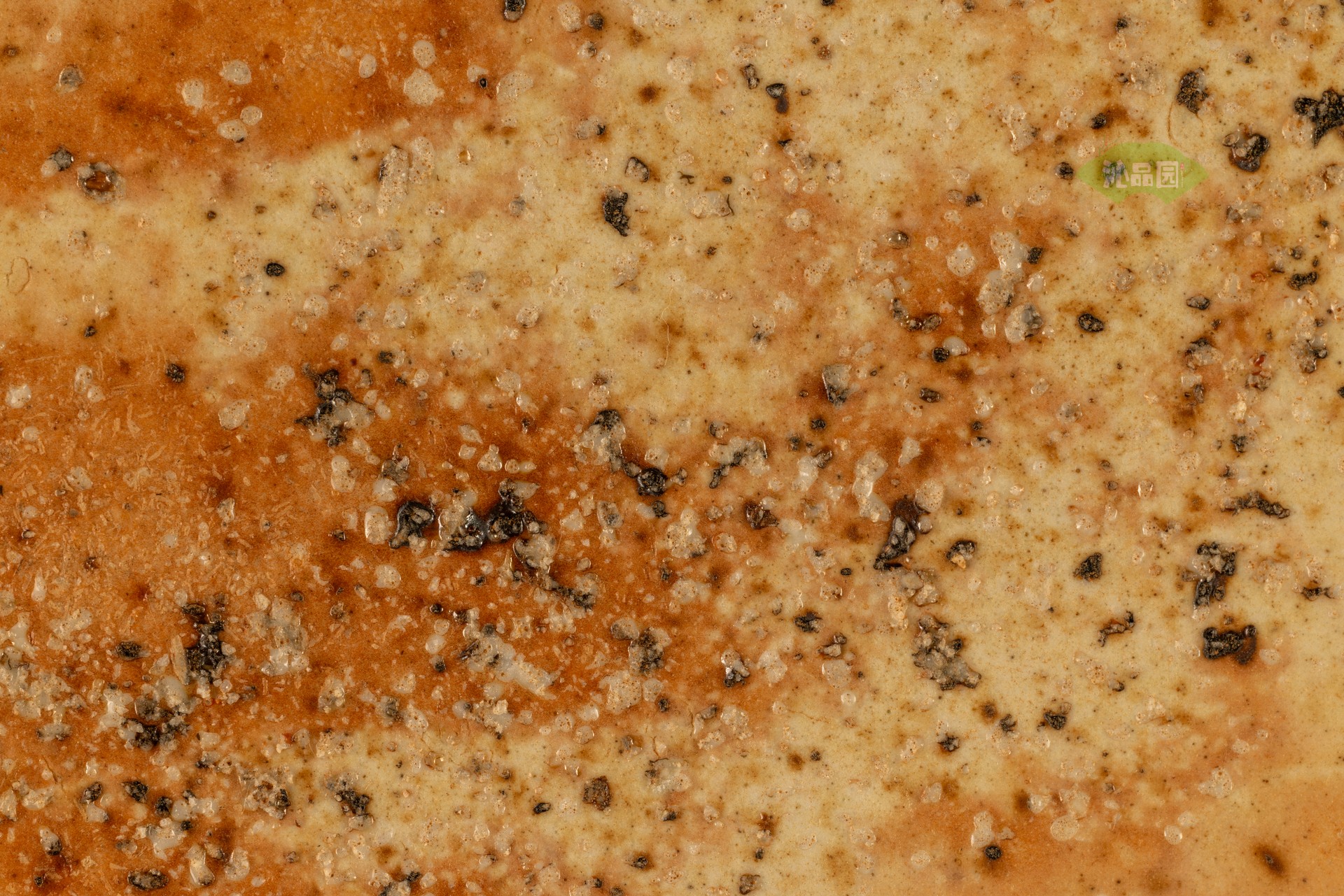 001_19e64cb899b7.jpg