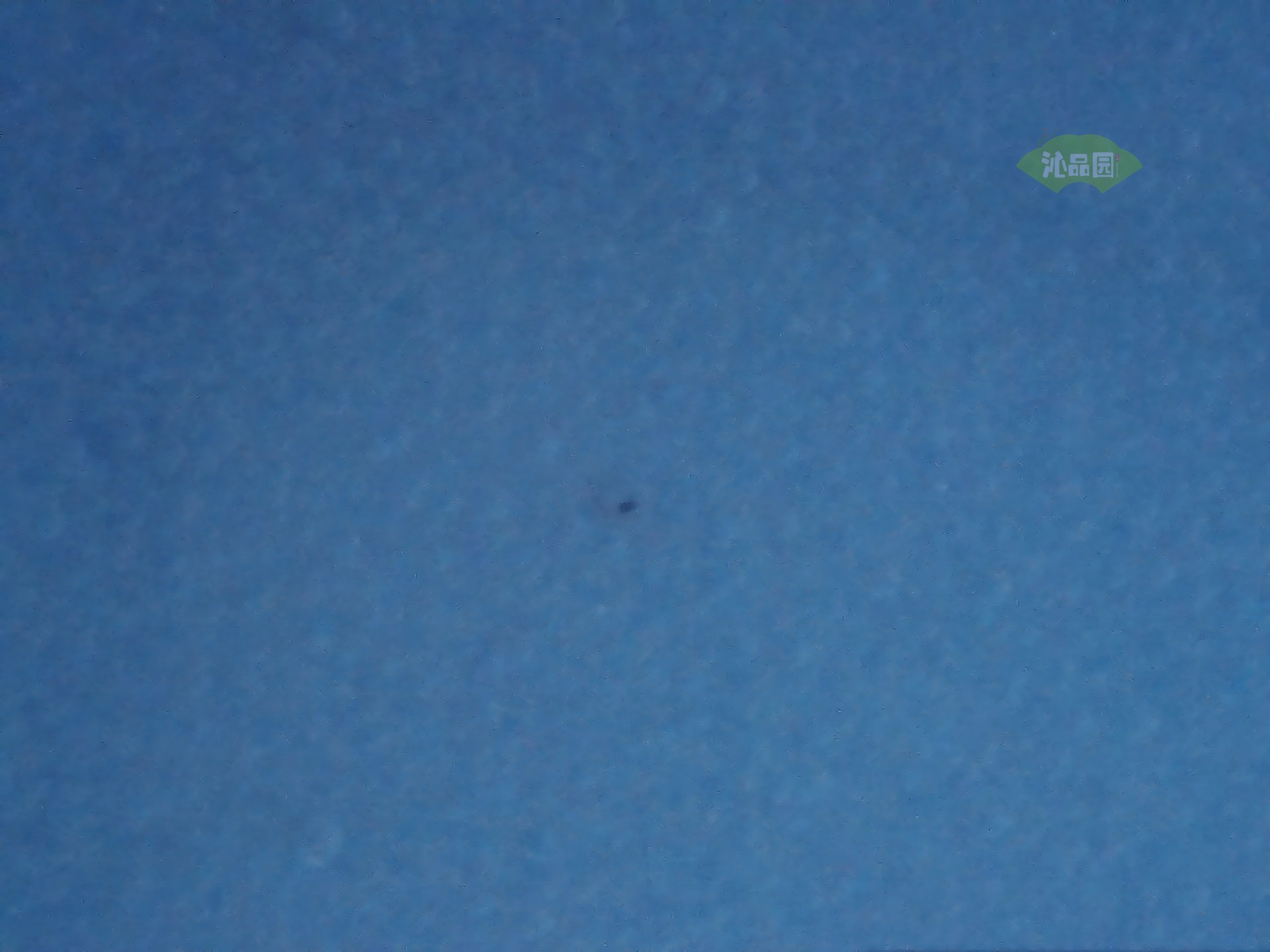 002_46e008d2cf4f.jpg