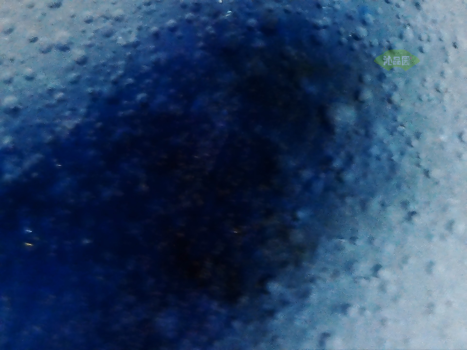 001_d555c25c423c.jpg