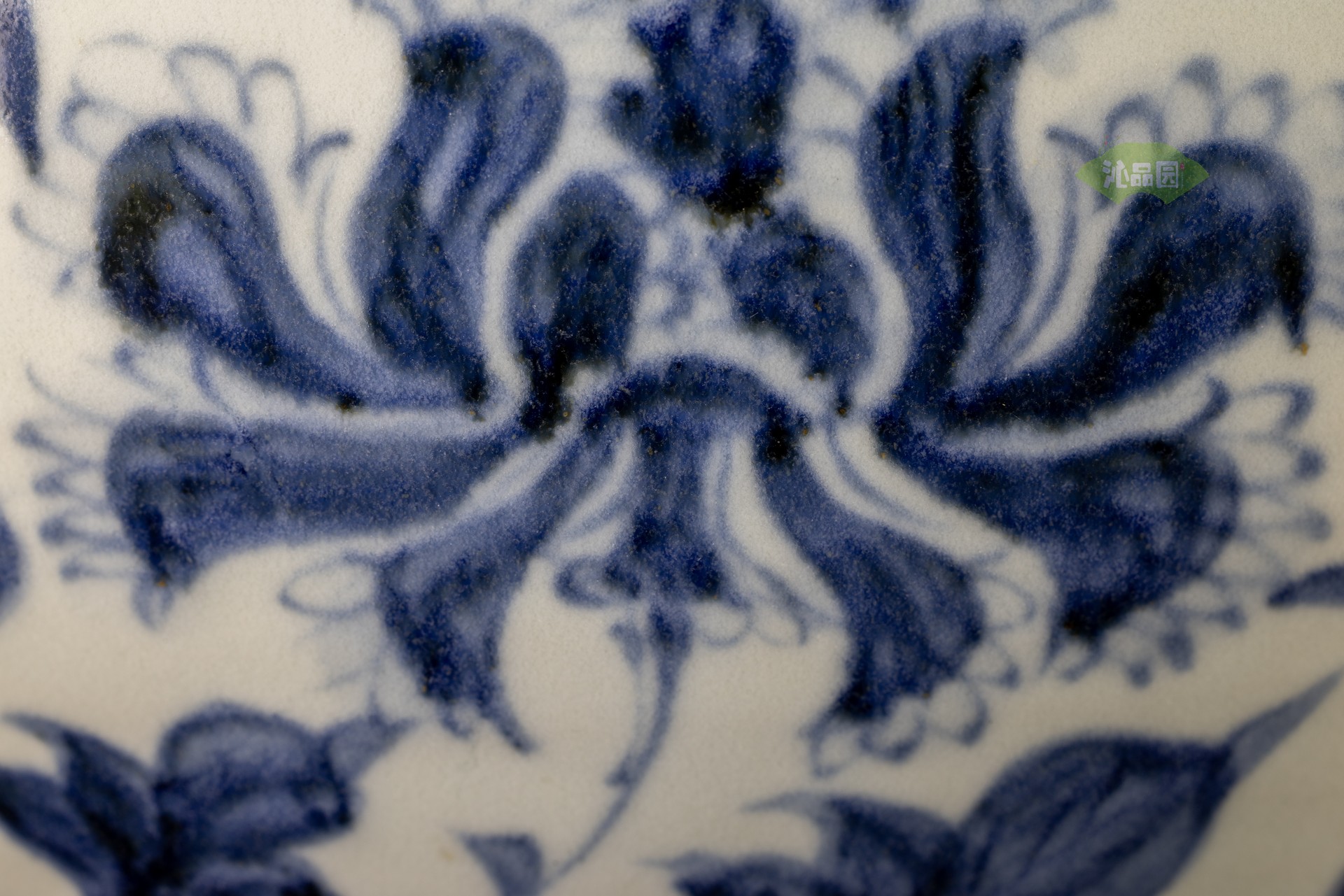 001_2f2f06a83785.jpg