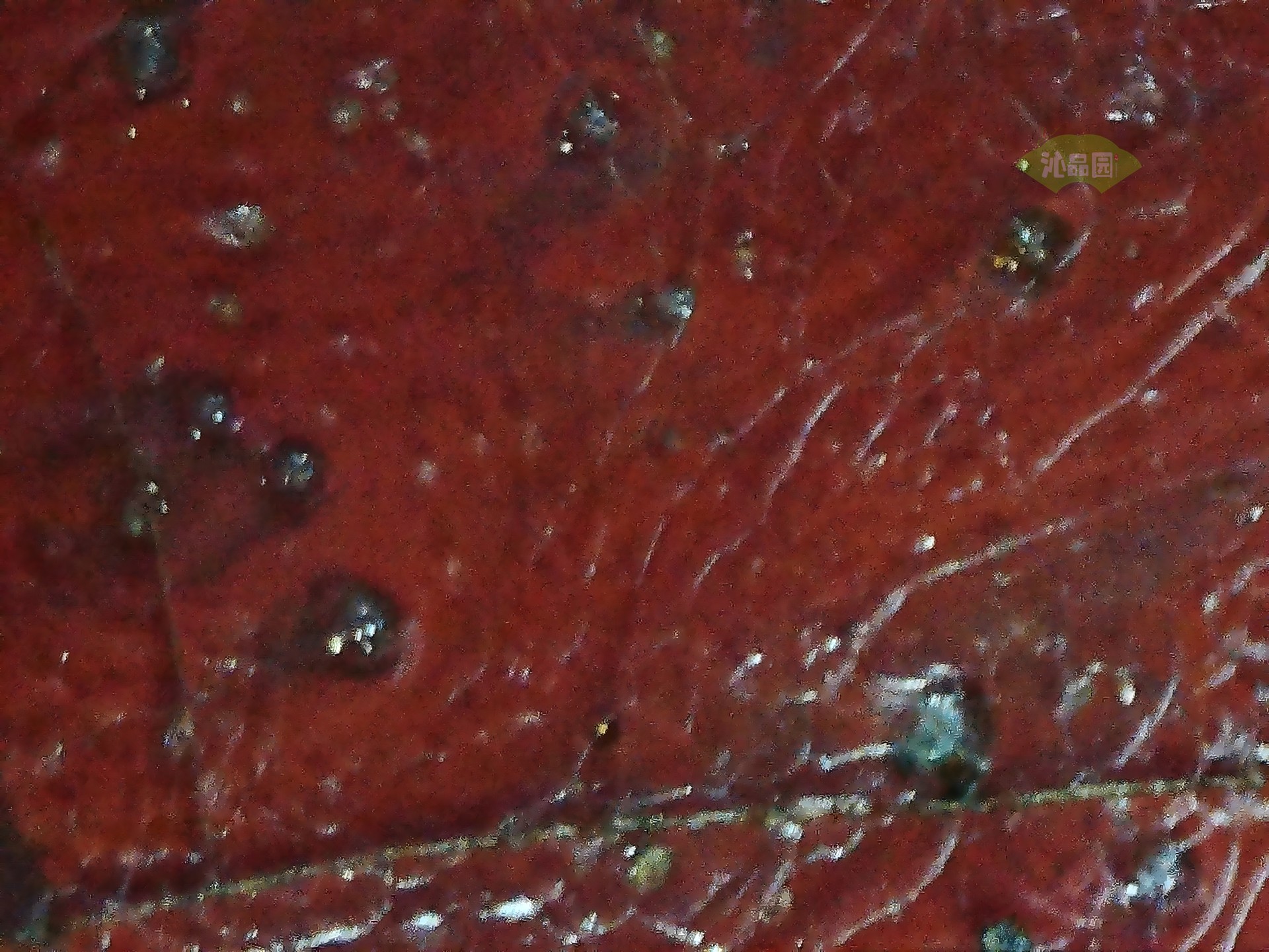 002_dee1f4a134ca.jpg